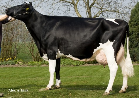 Barnkamper Marilyn 154 VG-88