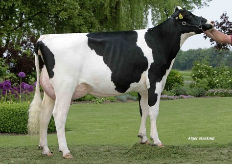 Barnkamper Marilyn 252 EX-90