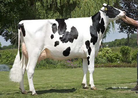 Barnkamper Marilyn 381 VG-88