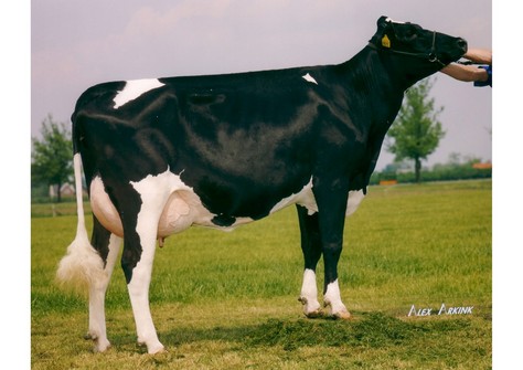 Barnkamper Octavia 14 VG-87