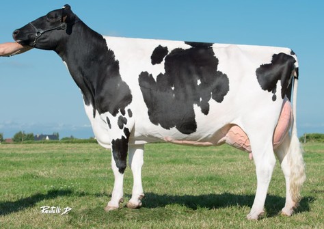 Baviere VG-87 Baviere VG-87