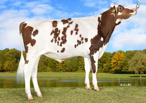 Baymax Red, Bagno x K25 Red VG-86
