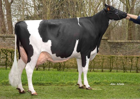 Lola V/H Zomerbloemhof 3lac EX-92
