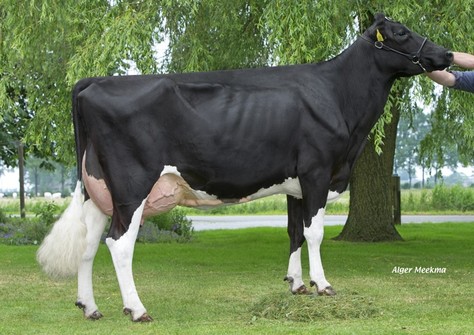 Beeze Roza 102 VG-86