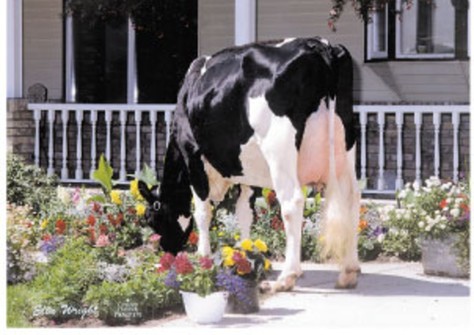 Benner Aeroline Jemima VG-86