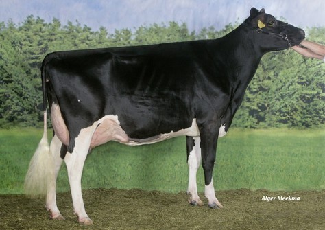 Big Anna Jacoba 115 EX-90