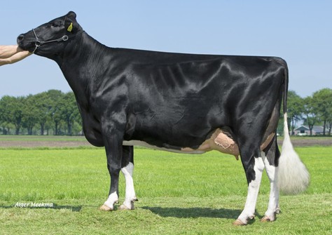 Big Anna Jacoba 126 VG-87