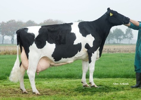 Big Boukje 192 EX-90