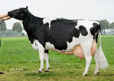 Big Clara 123 EX-90