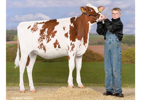Bjh Mv Emma Red + Gert VG-87