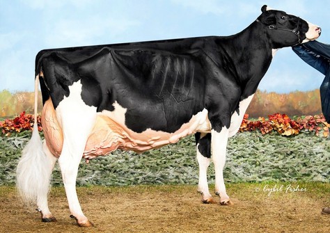 Blondin Goldwyn Subliminale EX-97