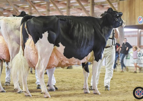 Blondin Goldwyn Subliminale EX-97