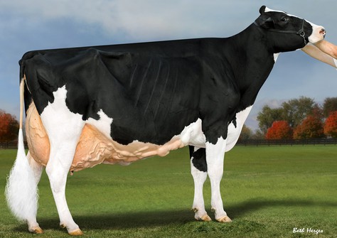 Blondin Goldwyn Subliminale EX-97