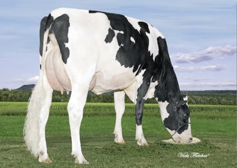 Blondin Man O Man Arkansas EX-93