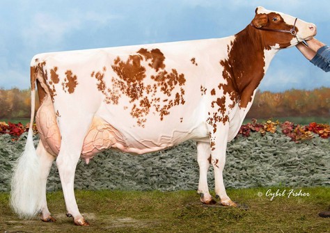 Blondin Redman Seisme-Red EX-97