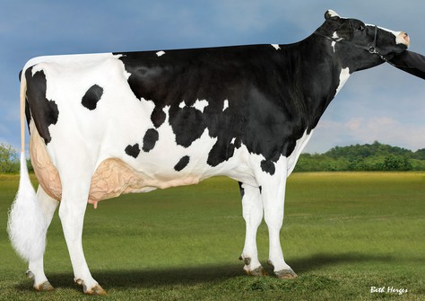 Bomaz Delta 7173-ET VG-88