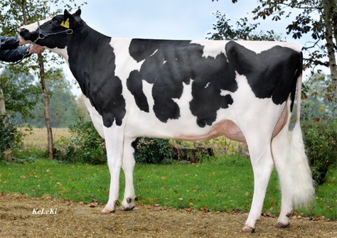 Brigitta PP RDC VG-87