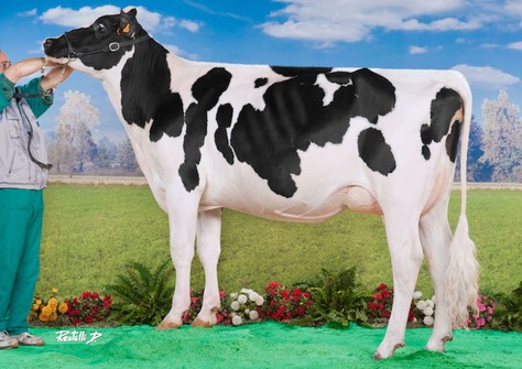 BTS-Swann VG-88