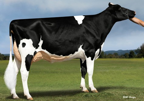 Budjon-Vail Super Woman EX-90