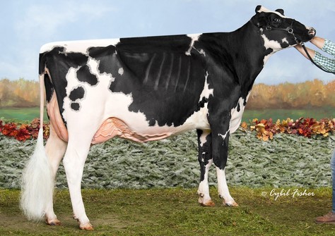 Butlerview Doorman Class VG-88