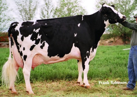 Canyon-Breeze EM August ET EX-92