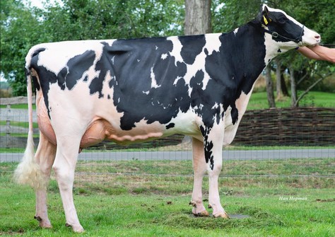 Capital Esmeralda VG-89 (v. Capital Gain) VG-88