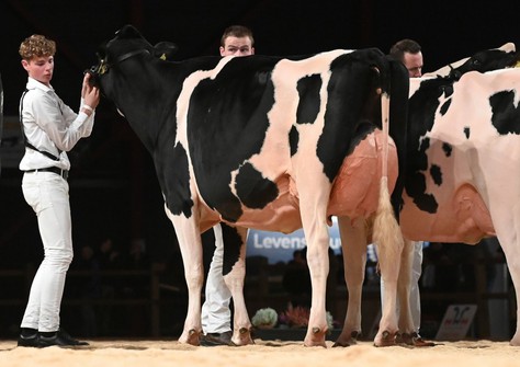 Het Uilenreef Charity 16 EX-91