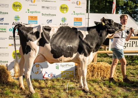 Charity 53 VG-86 Charity 53 VG-86