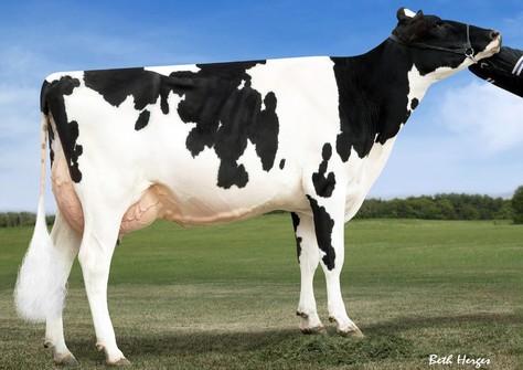 Clear-Echo M-O-M 2150 VG-87