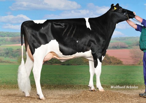 CNN Robust Samara VG-86