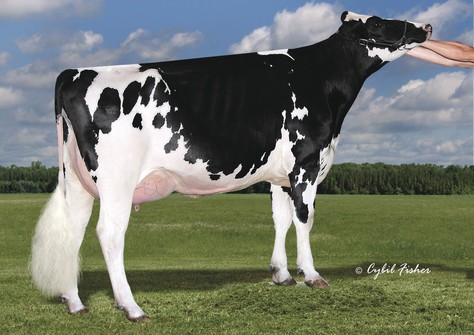 Cookiecutter Epic Hazel-ET EX-92