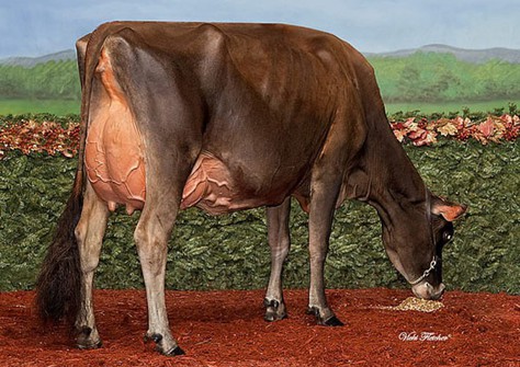 Crossbrook HG Dixie EX-94