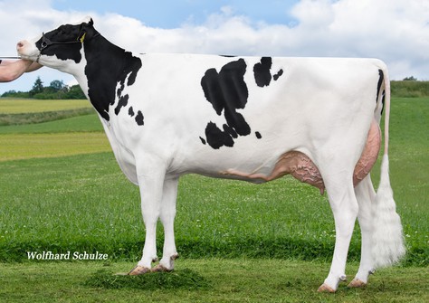 MS Pace Atlanta RDC VG-88 MS Pace Atlanta RDC VG-88