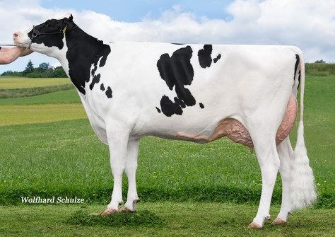 MS Pace Atlanta RDC VG-88