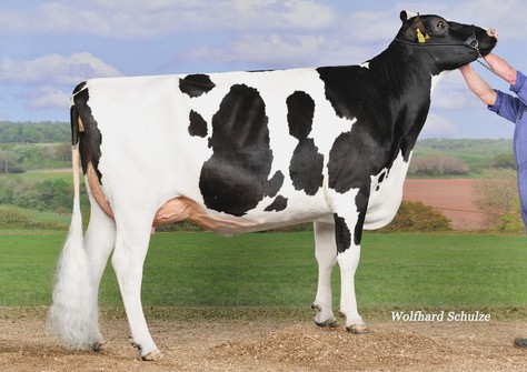 KNS Dalista VG-87