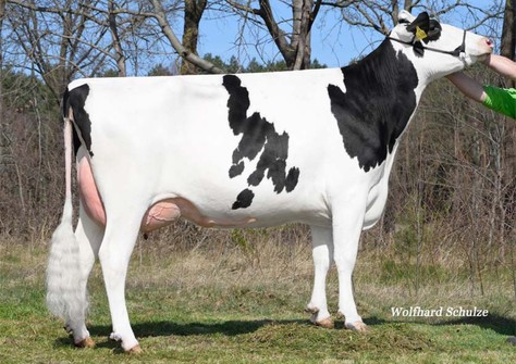 WEH Ballantines VG-88