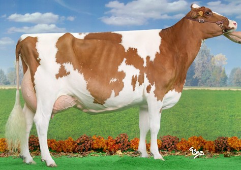 MLR Mylene-Red EX-94