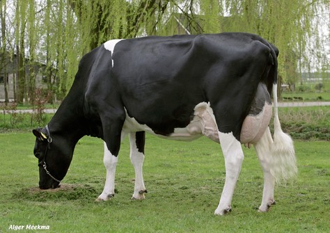 De Biesheuvel Javina 3 VG-87 De Biesheuvel Javina 3 VG-87