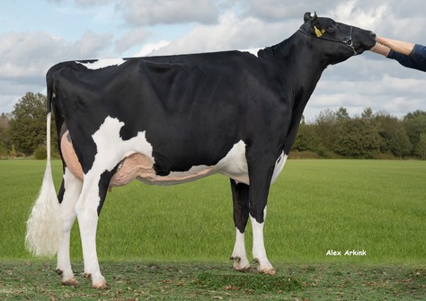 De Oosterhof 3STAR Bellawina RDC VG-86