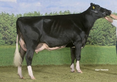 De Rith Tetje 204 EX-91