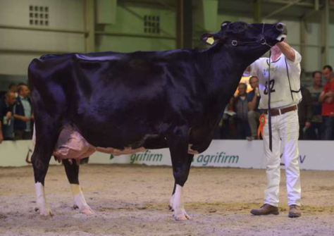 De Rith Tetje 204 EX-91