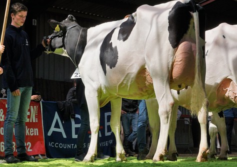 De Rith Thunder Vray VG-88