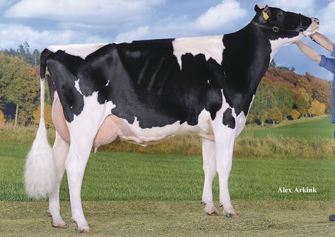 De Volmer Atwood Bailey EX-90