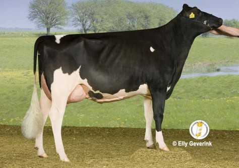 De Wijde Blik Jolein 5 VG-88