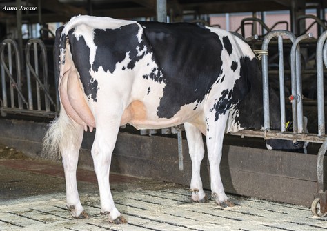 De Wijde Blik K&L Pipa 2 VG-86