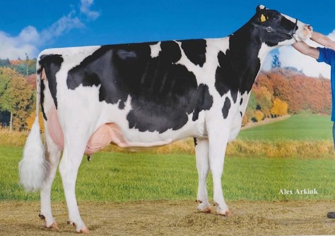 De Wijde Blik Liberty 7 EX-90