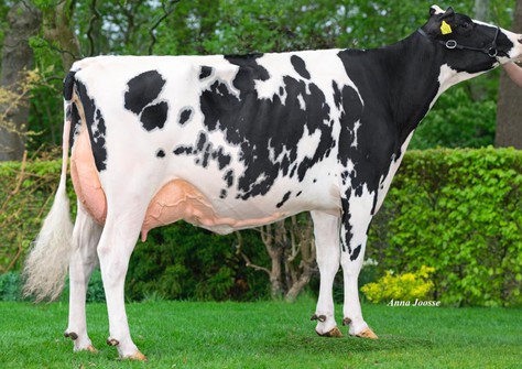 De Wijde Blik Marien VG-89