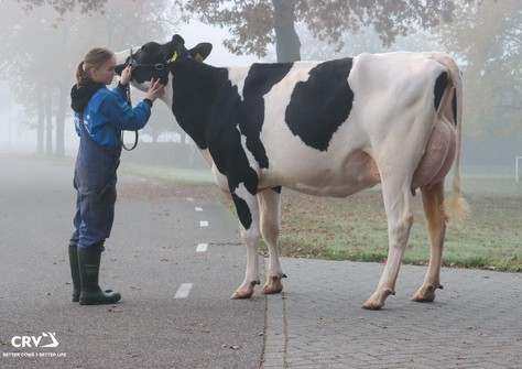 De Wijde Blik Pippa 2 PP RDC VG-87