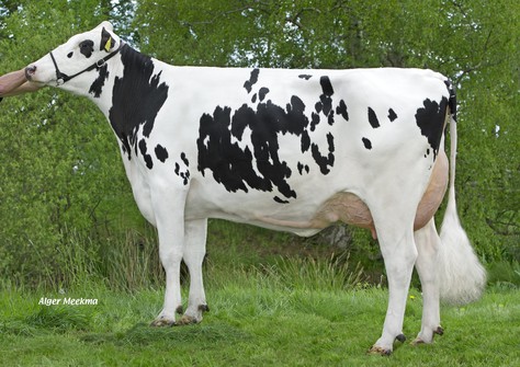 Delta Claire VG-86