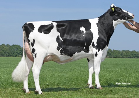 Delta Laure VG-86